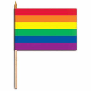 Pride Mini Rainbow Flag