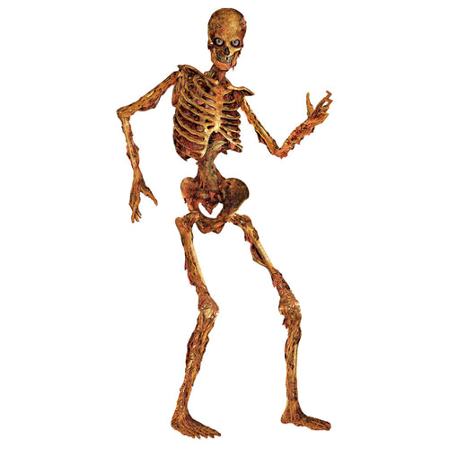 Rustic Jointed Skeleton
