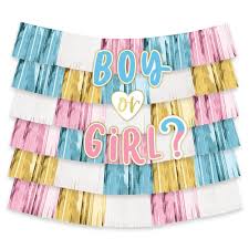Boy or Girl Backdrop