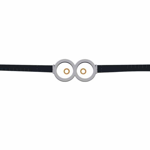 Despicable Me Goggles