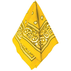 Yellow Sports Fan Kit