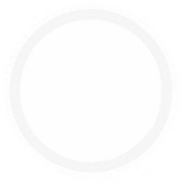 White Paper Dinner Plates - 8ct