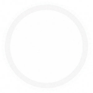White Paper Dinner Plates - 8ct