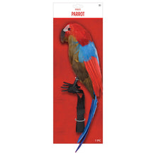 Load image into Gallery viewer, Shoulder Parrot