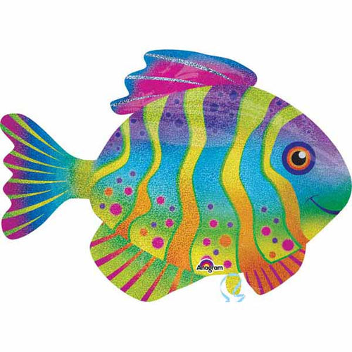 Colourful Fish 33