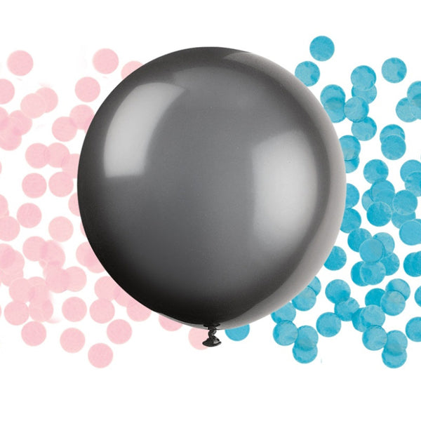 Gender Reveal 24
