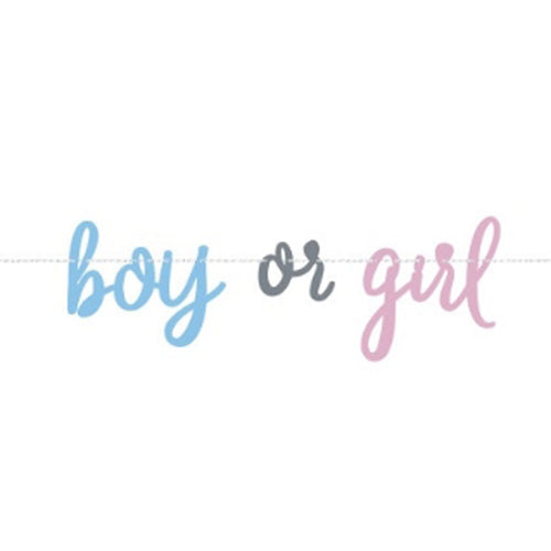 Boy or Girl Banner