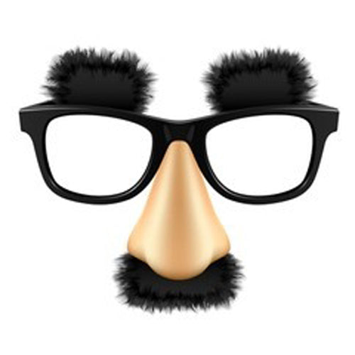 Disguise Glasses