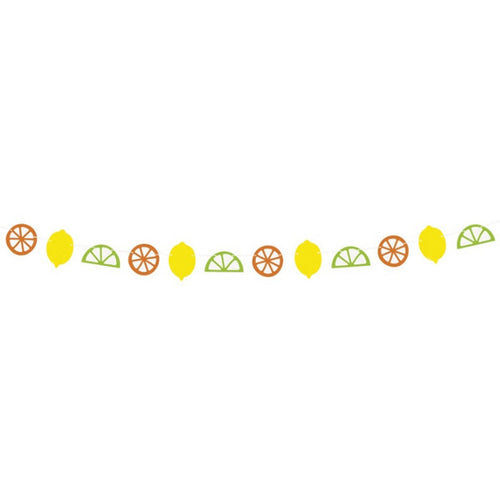Citrus Fruit Shape Garland