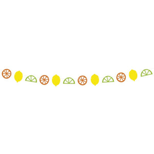 Citrus Fruit Shape Garland