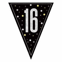 Load image into Gallery viewer, Black Glitz 16 Pennant Banner