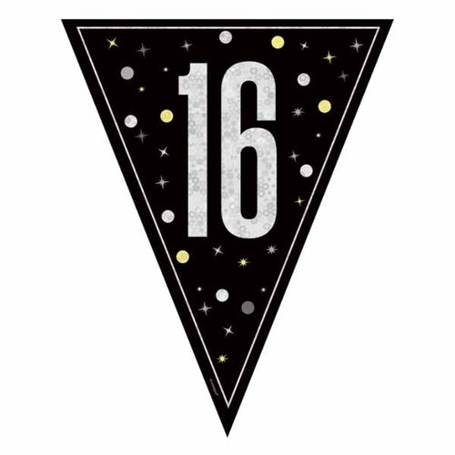 Black Glitz 16 Pennant Banner