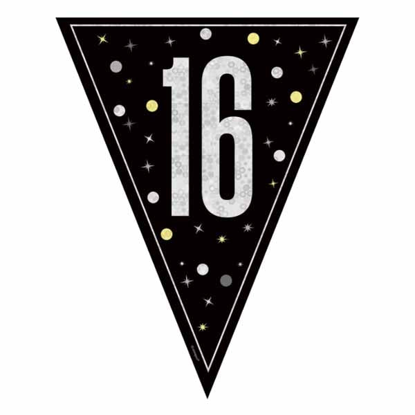 Black Glitz 16 Pennant Banner