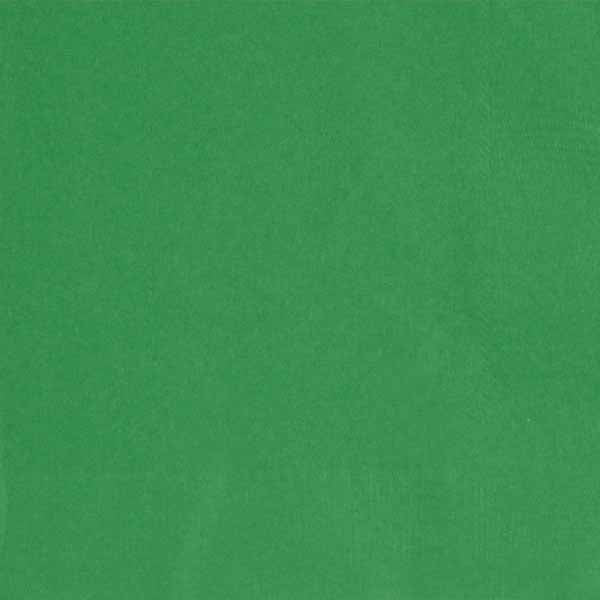 Emerald Green Luncheon Napkins - 20ct