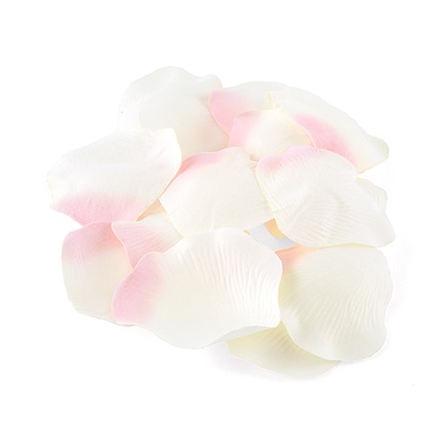 Pink Rose Petals