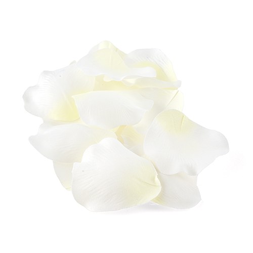 White Rose Petals