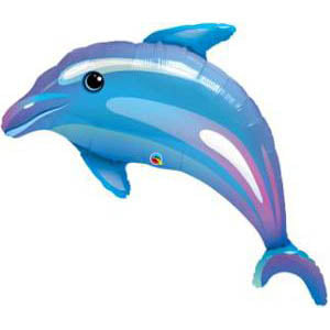 Dolphin 42