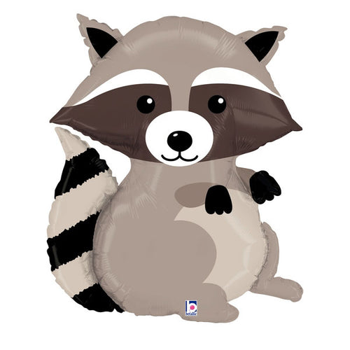Raccoon 36