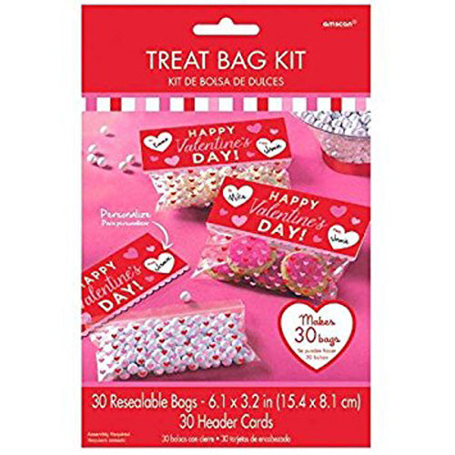 Valentines Treat Bag Kit