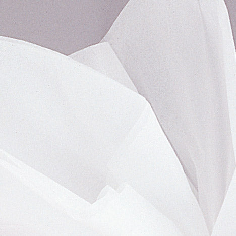 White  Tissue Sheets