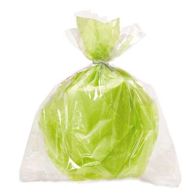 Large Cello Bag