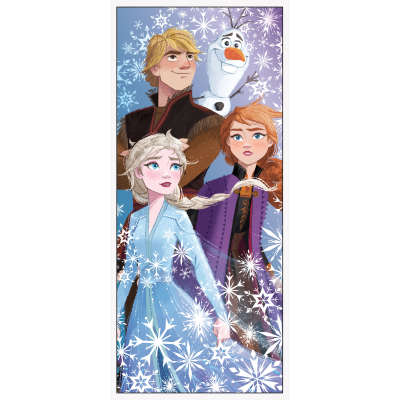 Frozen 2 Door Poster