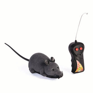 Remote Control Rat