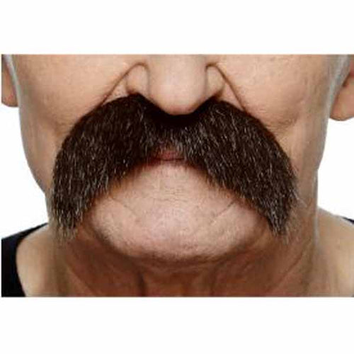 Auburn Curved Moustache