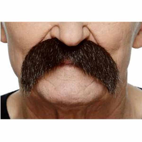 Auburn Curved Moustache